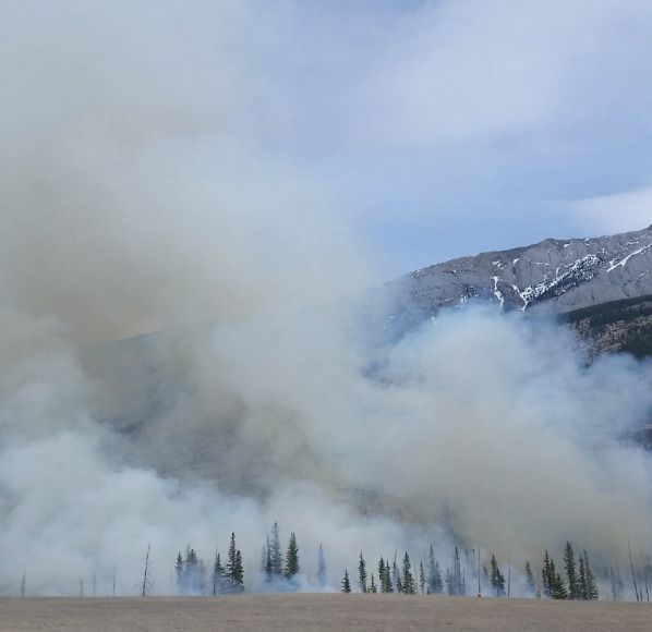 Queimas e queimadas: saiba como fazer dentro da lei